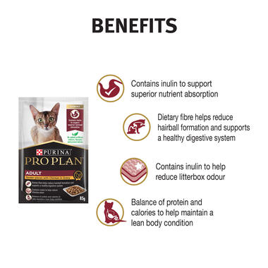 Cat meal best sale plan